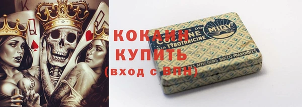 тгк Снежинск
