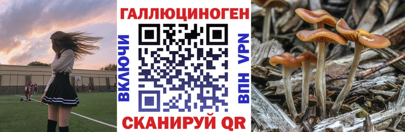 Псилоцибиновые грибы MAGIC MUSHROOMS продажа наркотиков Полесск